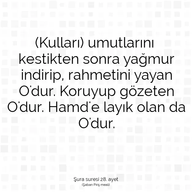 Ayetbul | Kuran Mealleri | Quran | Şura suresi 28. ayet