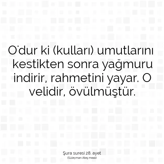 Ayetbul | Kuran Mealleri | Quran | Şura suresi 28. ayet