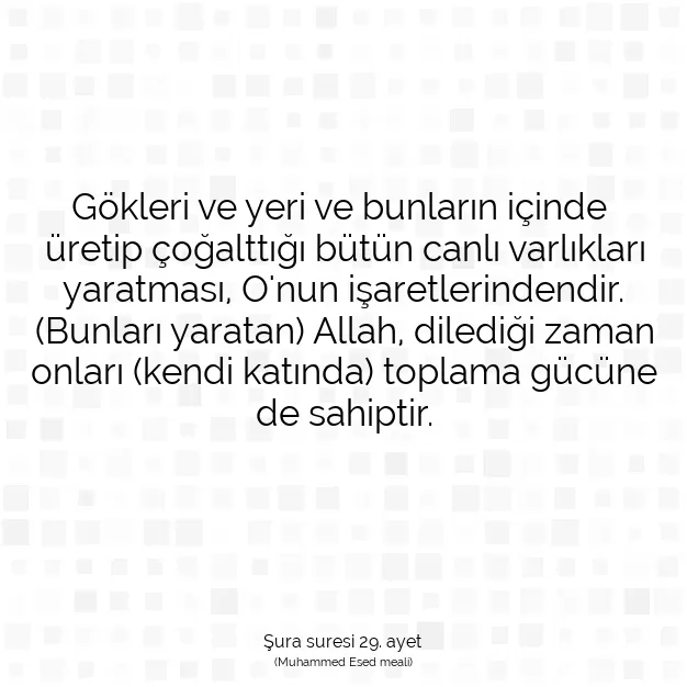 Ayetbul | Kuran Mealleri | Quran | Şura suresi 29. ayet