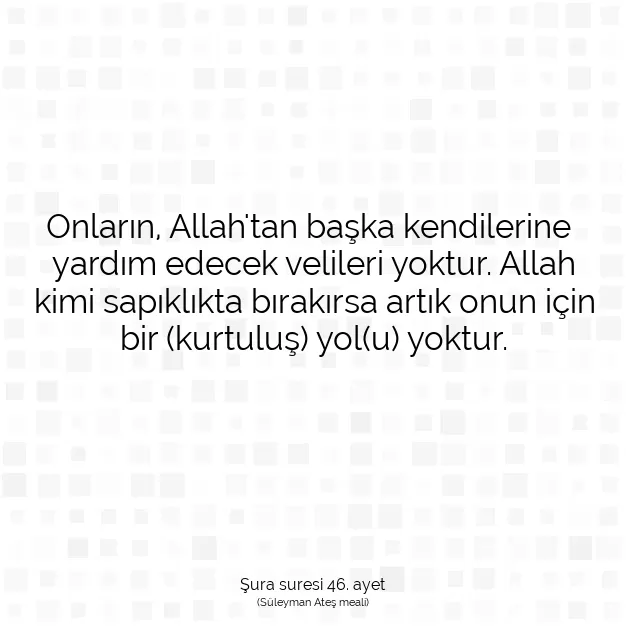 Ayetbul | Kuran Mealleri | Quran | Şura suresi 46. ayet