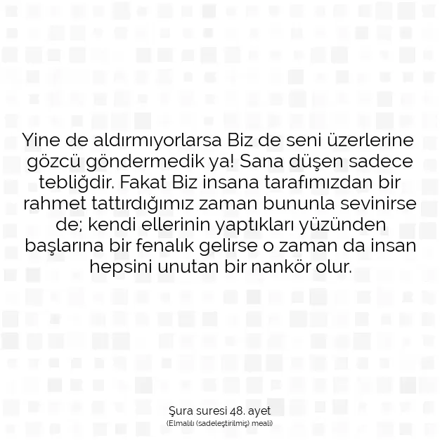 Ayetbul | Kuran Mealleri | Quran | Şura suresi 48. ayet