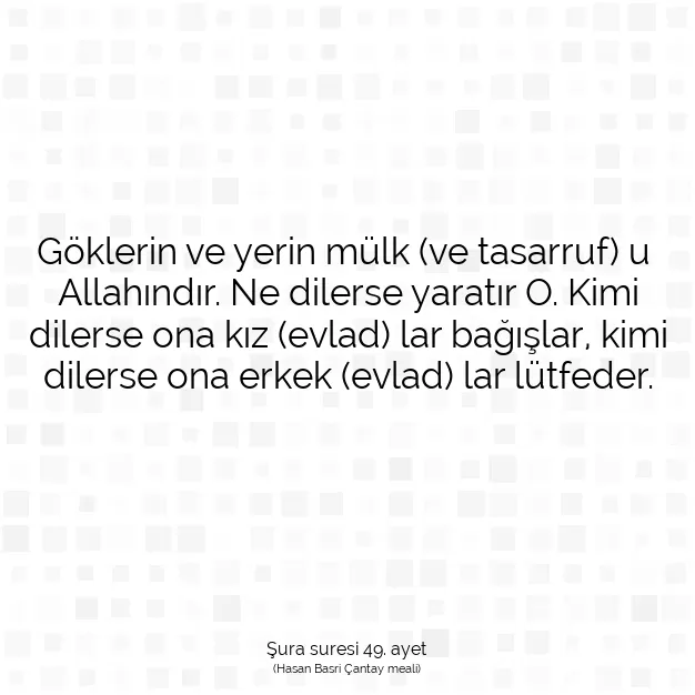 Ayetbul | Kuran Mealleri | Quran | Şura suresi 49. ayet