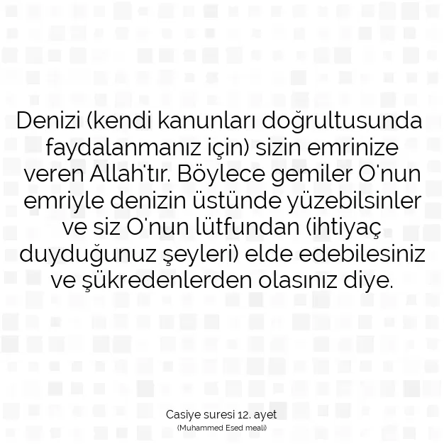 Ayetbul | Kuran Mealleri | Quran | Casiye suresi 12. ayet