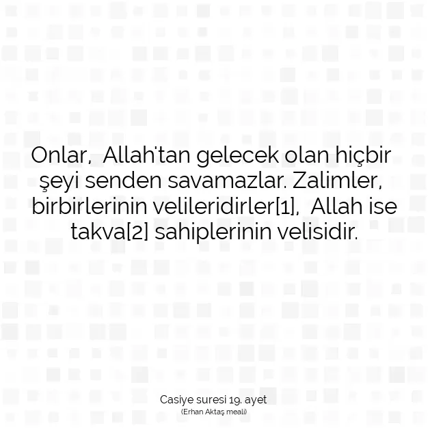 Ayetbul | Kuran Mealleri | Quran | Casiye suresi 19. ayet