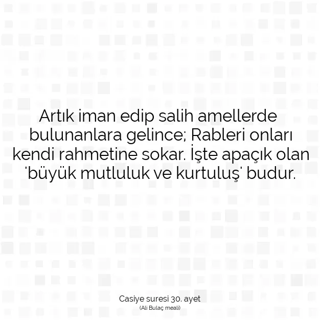 Ayetbul | Kuran Mealleri | Quran | Casiye suresi 30. ayet