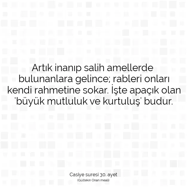 Ayetbul | Kuran Mealleri | Quran | Casiye suresi 30. ayet