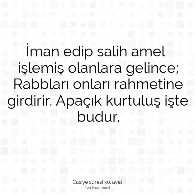 Ayetbul | Kuran Mealleri | Quran | Casiye suresi 30. ayet