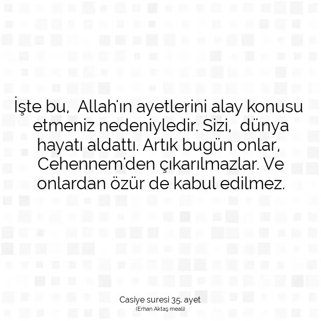 Ayetbul | Kuran Mealleri | Quran | Casiye suresi 35. ayet