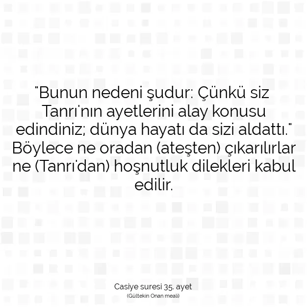 Ayetbul | Kuran Mealleri | Quran | Casiye suresi 35. ayet