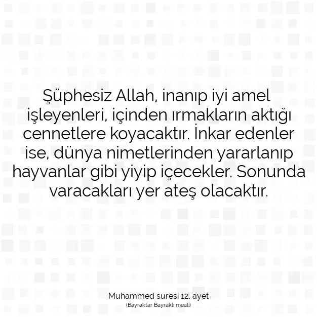 Ayetbul | Kuran Mealleri | Quran | Muhammed suresi 12. ayet