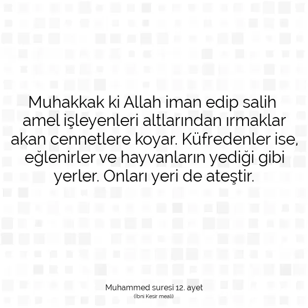 Ayetbul | Kuran Mealleri | Quran | Muhammed suresi 12. ayet