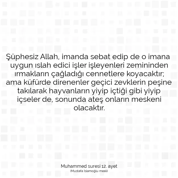 Ayetbul | Kuran Mealleri | Quran | Muhammed suresi 12. ayet