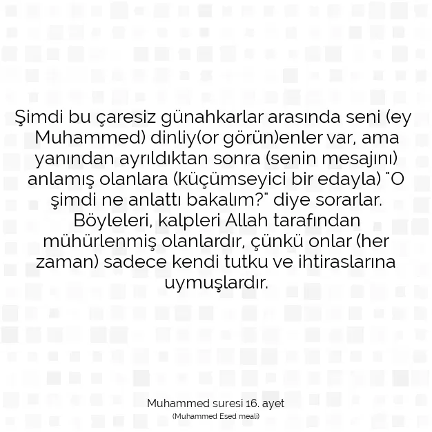 Ayetbul | Kuran Mealleri | Quran | Muhammed suresi 16. ayet