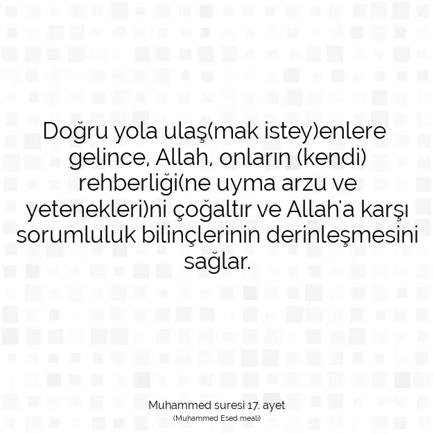 Ayetbul | Kuran Mealleri | Quran | Muhammed suresi 17. ayet