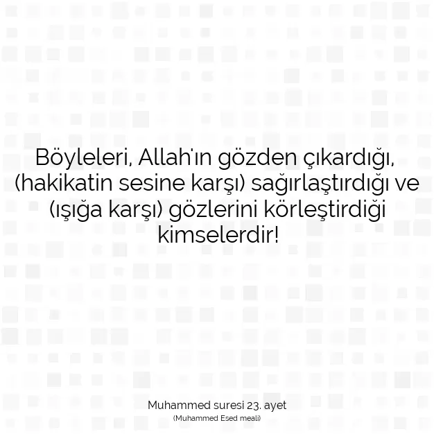 Ayetbul | Kuran Mealleri | Quran | Muhammed suresi 23. ayet