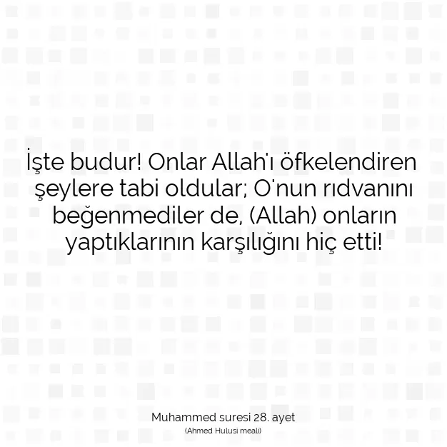 Ayetbul | Kuran Mealleri | Quran | Muhammed suresi 28. ayet