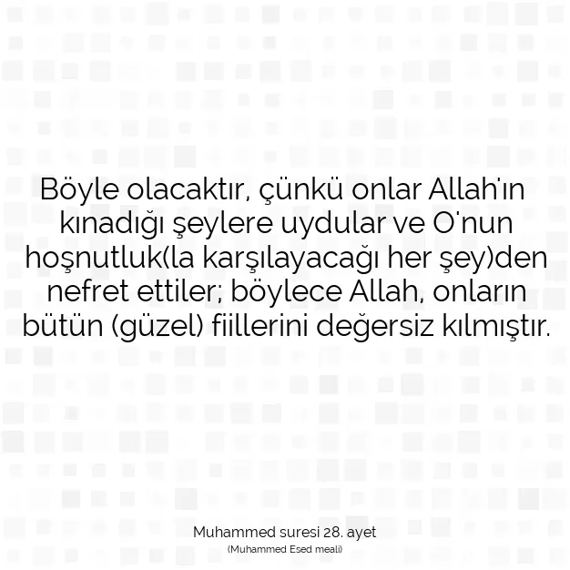 Ayetbul | Kuran Mealleri | Quran | Muhammed suresi 28. ayet