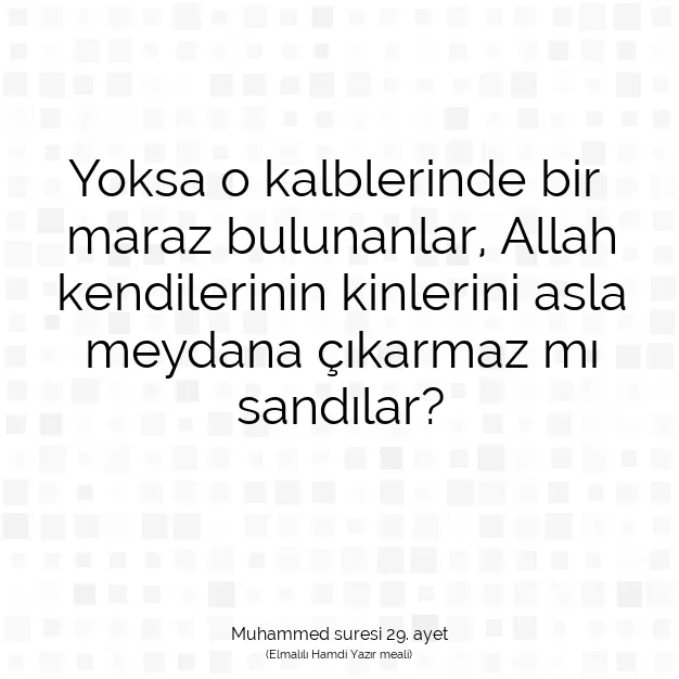 Ayetbul | Kuran Mealleri | Quran | Muhammed suresi 29. ayet