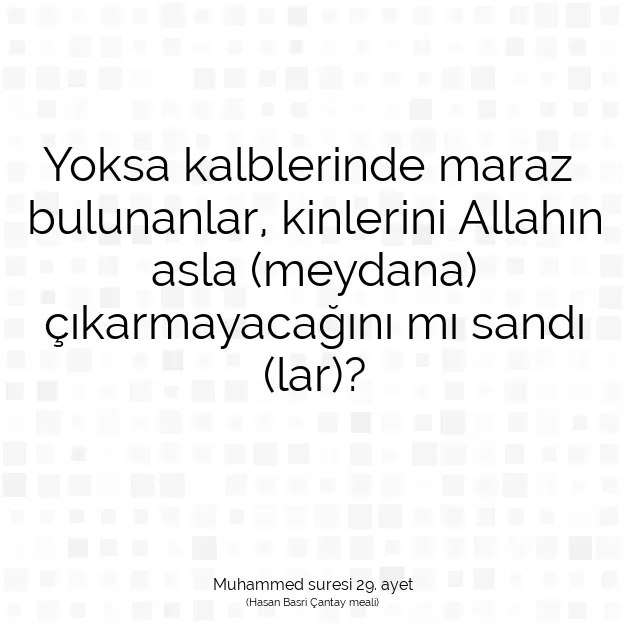 Ayetbul | Kuran Mealleri | Quran | Muhammed suresi 29. ayet