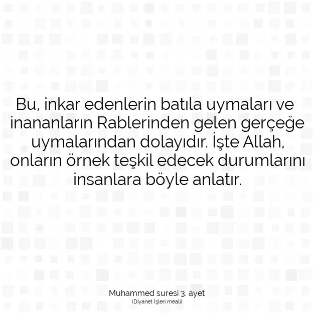 Ayetbul | Kuran Mealleri | Quran | Muhammed suresi 3. ayet