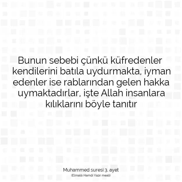 Ayetbul | Kuran Mealleri | Quran | Muhammed suresi 3. ayet