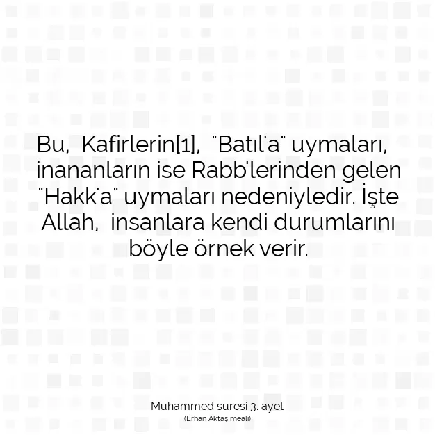 Ayetbul | Kuran Mealleri | Quran | Muhammed suresi 3. ayet