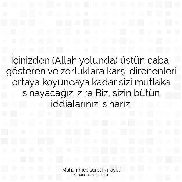 Ayetbul | Kuran Mealleri | Quran | Muhammed suresi 31. ayet