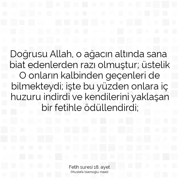 Ayetbul | Kuran Mealleri | Quran | Fetih suresi 18. ayet