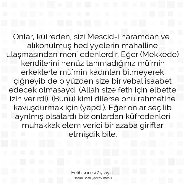 Ayetbul | Kuran Mealleri | Quran | Fetih suresi 25. ayet