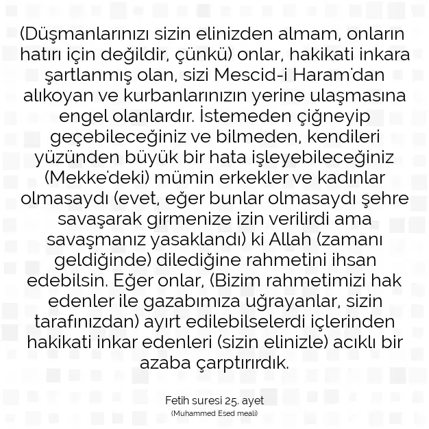 Ayetbul | Kuran Mealleri | Quran | Fetih suresi 25. ayet