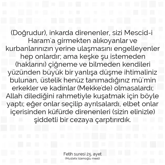 Ayetbul | Kuran Mealleri | Quran | Fetih suresi 25. ayet