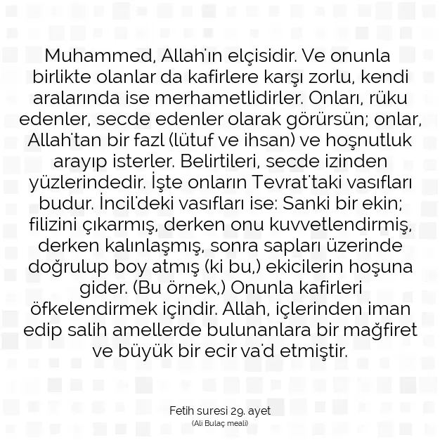 Ayetbul | Kuran Mealleri | Quran | Fetih suresi 29. ayet