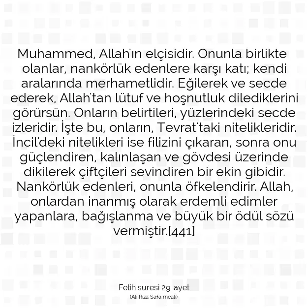 Ayetbul | Kuran Mealleri | Quran | Fetih suresi 29. ayet