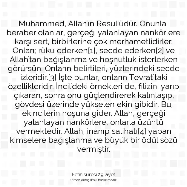 Ayetbul | Kuran Mealleri | Quran | Fetih suresi 29. ayet