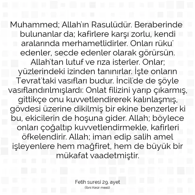 Ayetbul | Kuran Mealleri | Quran | Fetih suresi 29. ayet