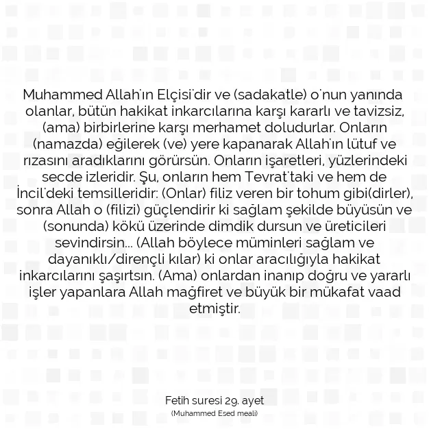 Ayetbul | Kuran Mealleri | Quran | Fetih suresi 29. ayet