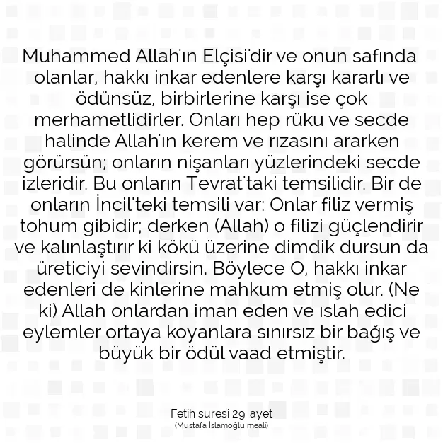 Ayetbul | Kuran Mealleri | Quran | Fetih suresi 29. ayet