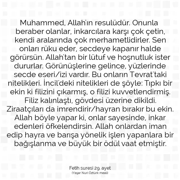 Ayetbul | Kuran Mealleri | Quran | Fetih suresi 29. ayet