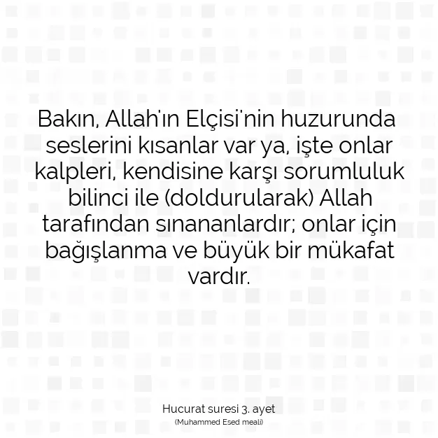 Ayetbul | Kuran Mealleri | Quran | Hucurat suresi 3. ayet