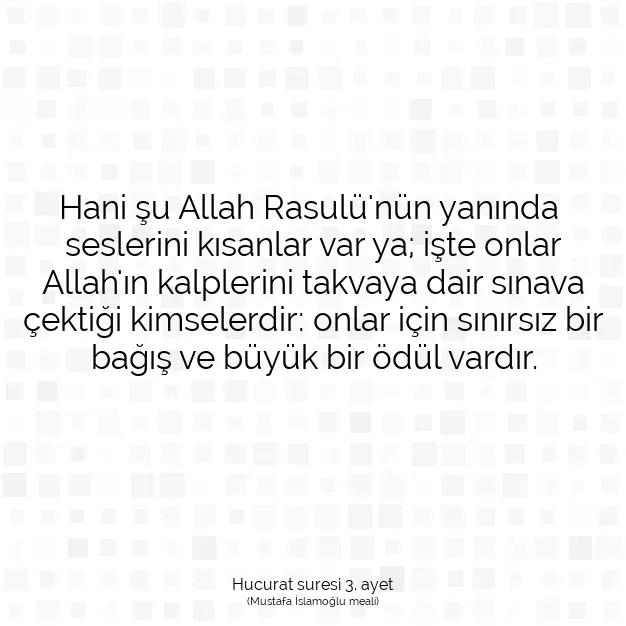 Ayetbul | Kuran Mealleri | Quran | Hucurat suresi 3. ayet