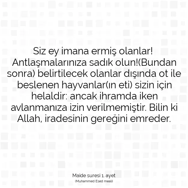 Ayetbul | Kuran Mealleri | Quran | Maide suresi 1. ayet