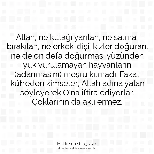 Ayetbul | Kuran Mealleri | Quran | Maide suresi 103. ayet