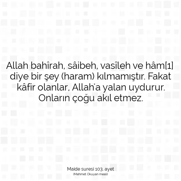 Ayetbul | Kuran Mealleri | Quran | Maide suresi 103. ayet