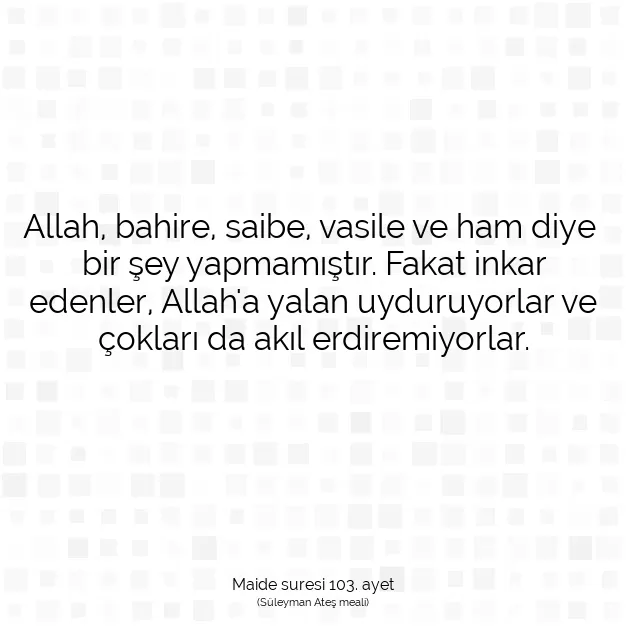 Ayetbul | Kuran Mealleri | Quran | Maide suresi 103. ayet