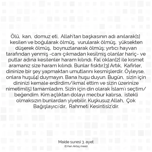 Ayetbul | Kuran Mealleri | Quran | Maide suresi 3. ayet