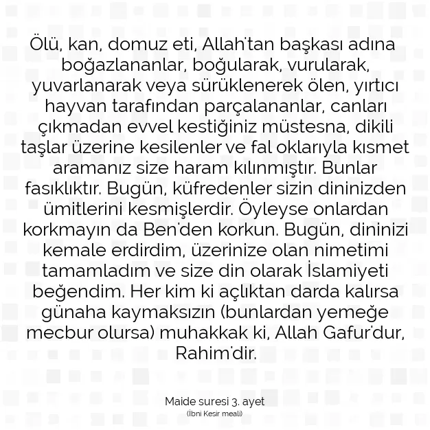 Ayetbul | Kuran Mealleri | Quran | Maide suresi 3. ayet