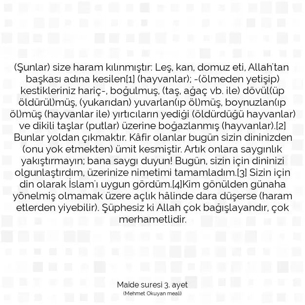 Ayetbul | Kuran Mealleri | Quran | Maide suresi 3. ayet