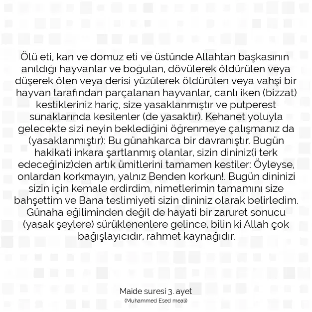 Ayetbul | Kuran Mealleri | Quran | Maide suresi 3. ayet