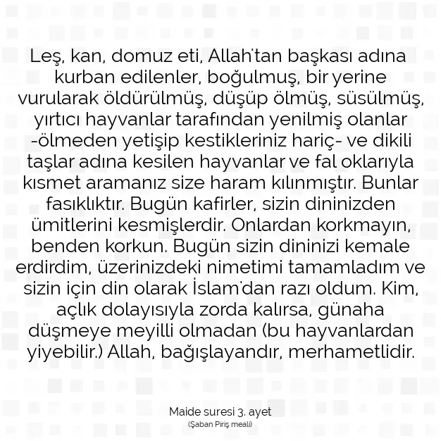 Ayetbul | Kuran Mealleri | Quran | Maide suresi 3. ayet