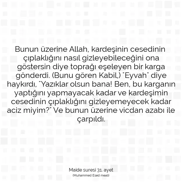 Ayetbul | Kuran Mealleri | Quran | Maide suresi 31. ayet